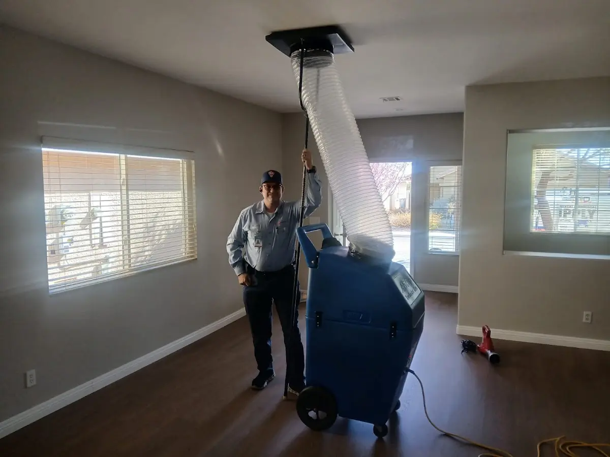 Professional Dryer Vent Cleaning work inside a Francisville home